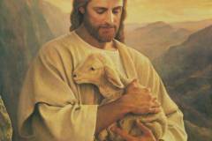 lost_lamb_art_lds